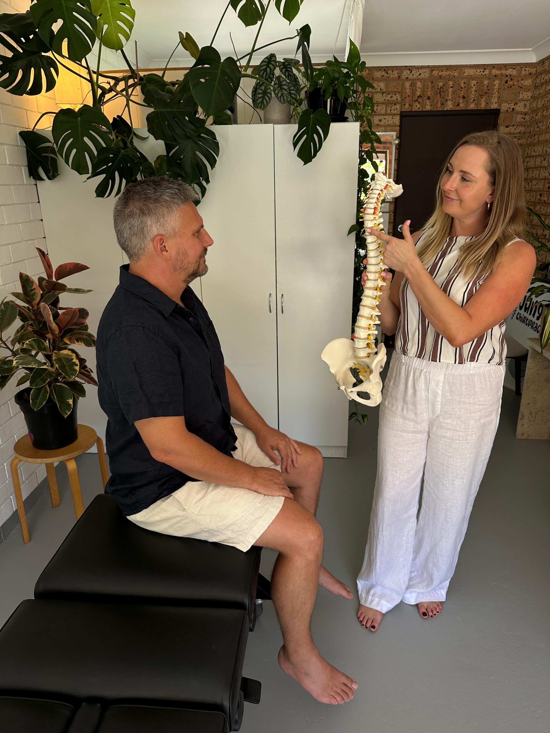 Consultation with spine model