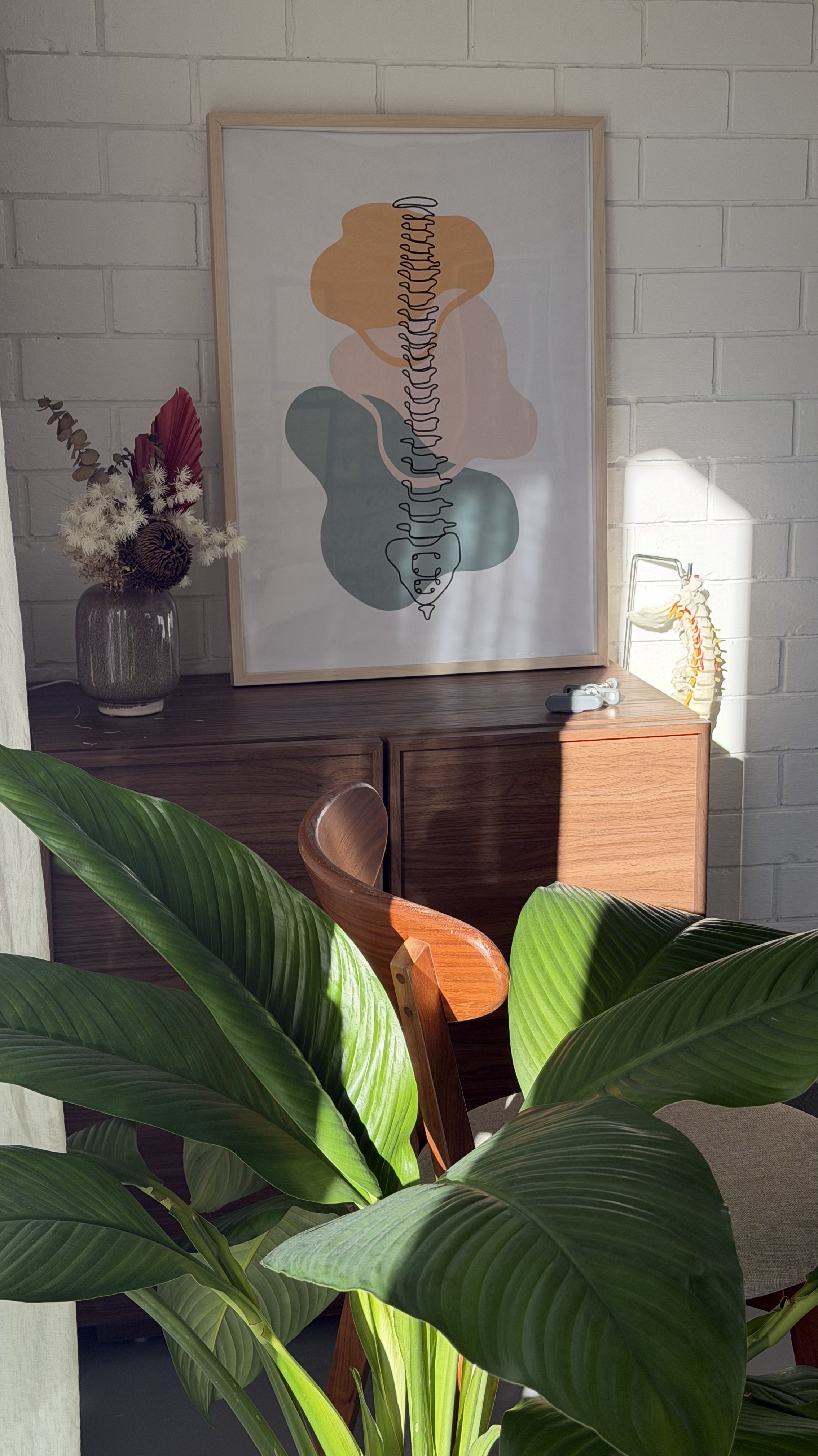 Jungle Chiro clinic